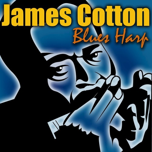 Blues Harp_poster_image