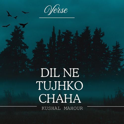 Dil Ne Tujhko Chaha