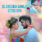 Dil Sheesha Samajh Ke Tod Diya