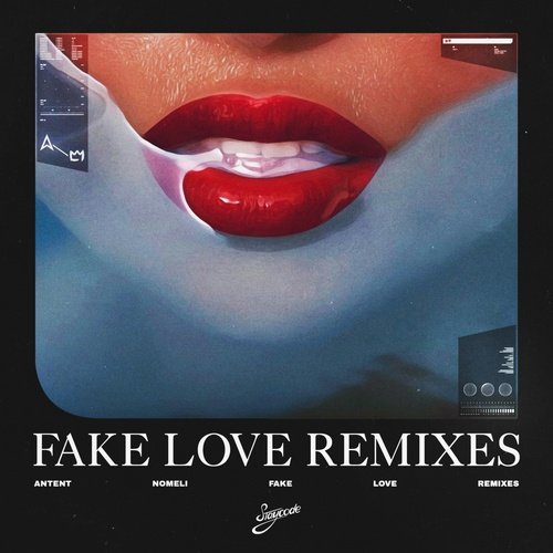 Fake Love (Remixes)