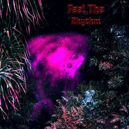 Feel the Rhythm