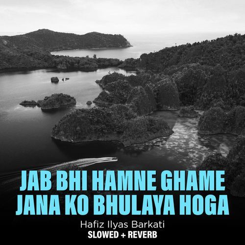 Jab Bhi Hamne Ghame Jana Ko Bhulaya Hoga (Lofi-Mix)