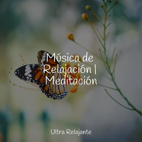 Viento Del Bosque Pacífico cover art