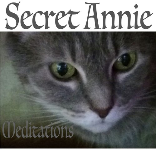 On a Cold Winter's Night