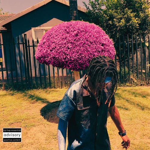 Odesity cover art