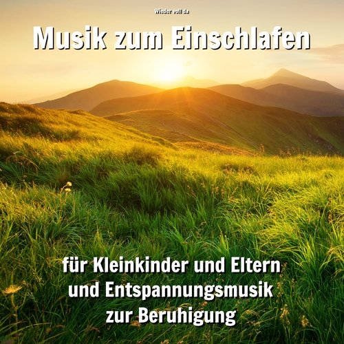 Einfach im Tal cover art