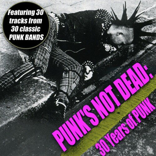 Punk's Not Dead - 30 Years Of Punk
