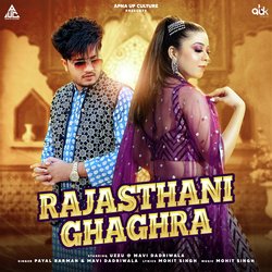 Rajasthani Ghaghra-JyxbUhVzW1U