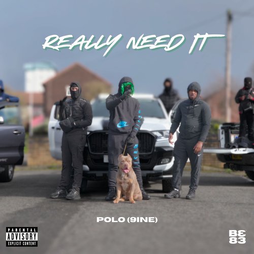 Really Need It_poster_image