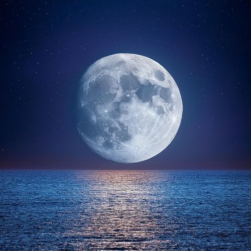 Ritmos Suaves De La Noche cover art