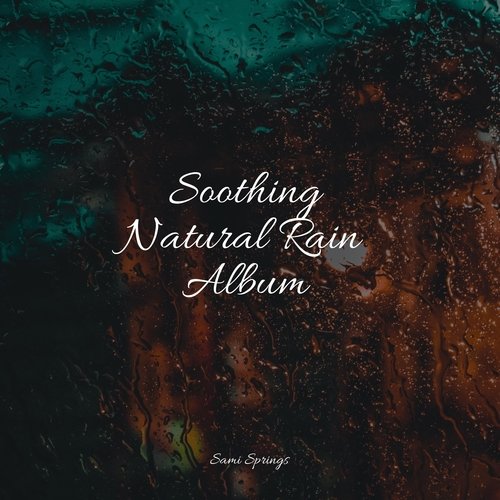 Soothing Natural Rain Album_poster_image