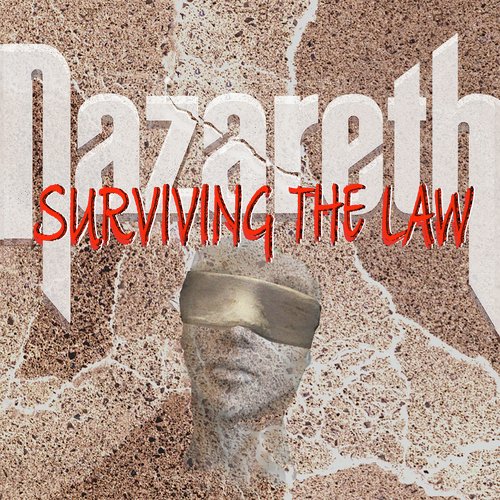 Surviving the Law_poster_image