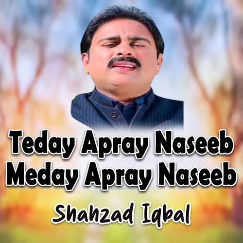 Teday Apray Naseeb Meday Apray Naseeb