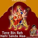 Main Tere Bin Rah Nahi Sakda