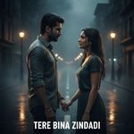 Tere Bina Zindagi