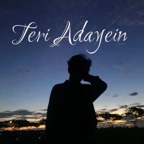 Teri Adayein