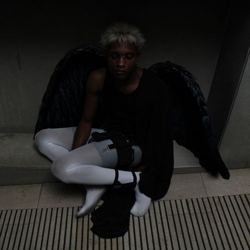 lauren cover art