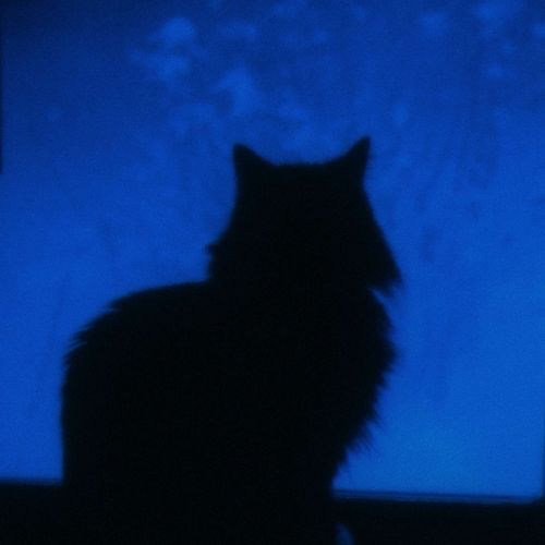 the softest ruin (slowed)