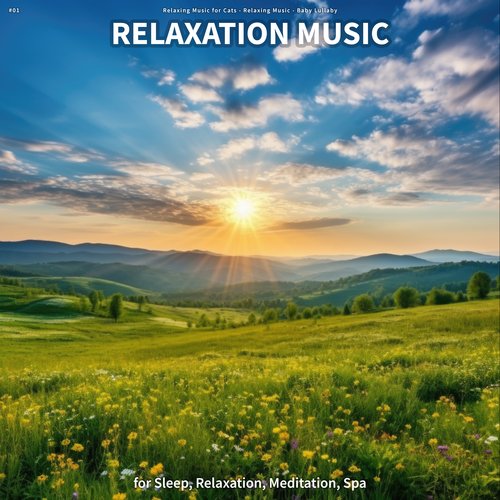 #01 Relaxation Music for Sleep, Relaxation, Meditation, Spa_poster_image