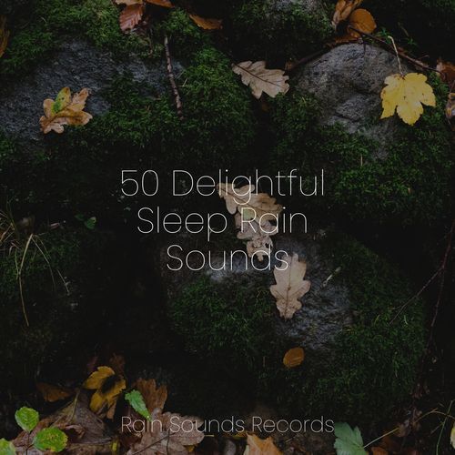 50 Delightful Sleep Rain Sounds