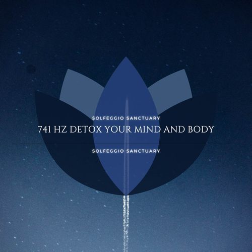 741 Hz Detox Your Mind and Body