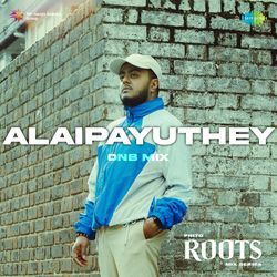 Alaipayuthey - DnB Mix-Hhhcaz15eWw