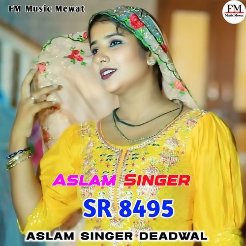 Aslam Singer SR 8495