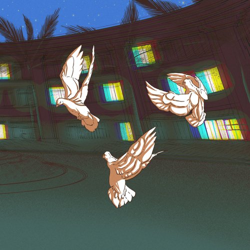 BIRDS cover art