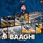 Baaghi