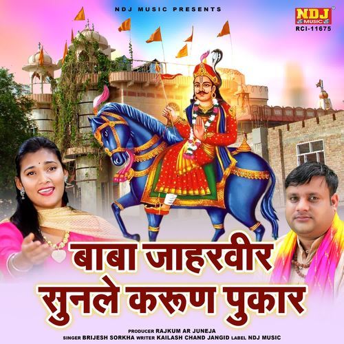 Baba Jaharveer Sunle Karun Pukar