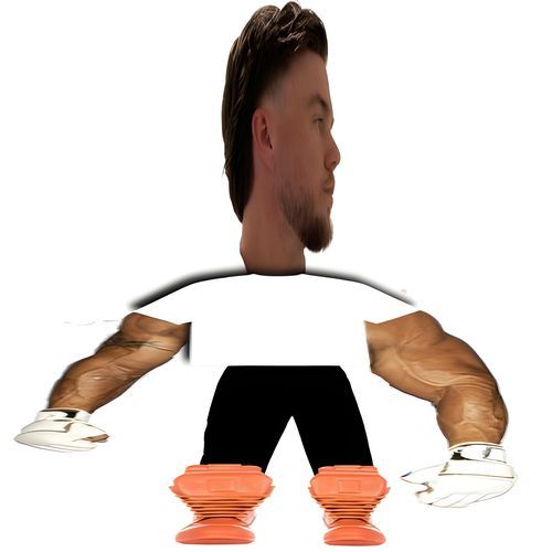 Schaduwboxer cover art