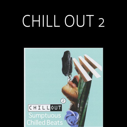 Chill Out; Vol. 2: Sumptuous Chilled Beats