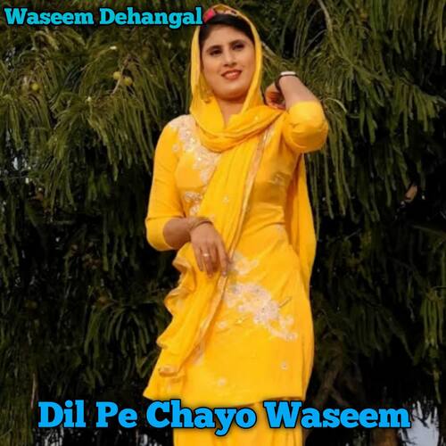 Dil Pe Chayo Waseem cover art