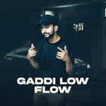 Gaddi Low Flow