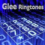 English worksheets: Glee Gold Digger Song