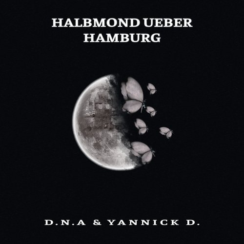 Halbmond ueber Hamburg_poster_image