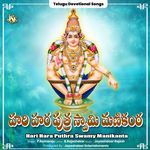 Hari Hara Puthra Swamy Manikanta