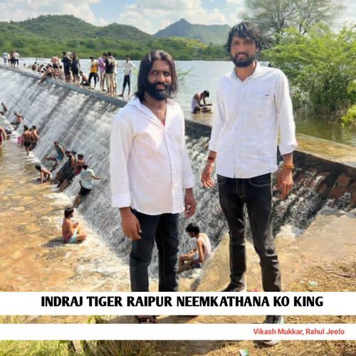 Inder Tiger Raipura Neemkathana Ko King