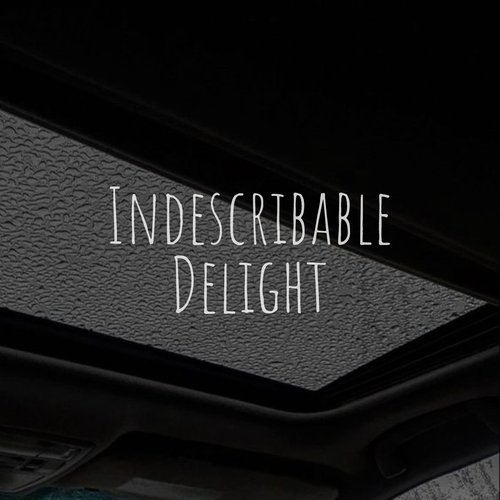 Indescribable Delight_poster_image