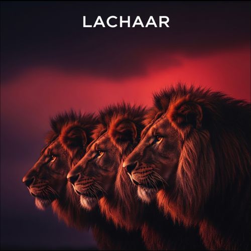 Lachaar