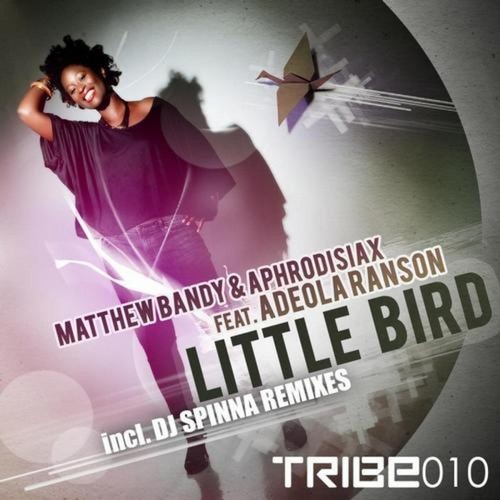 Little Bird_poster_image