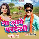 Aake Ka Achar Dalba artwork