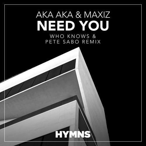 Need You (Who Knows & Pete Sabo Remix)