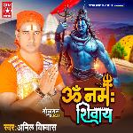 Om Namah Shivay