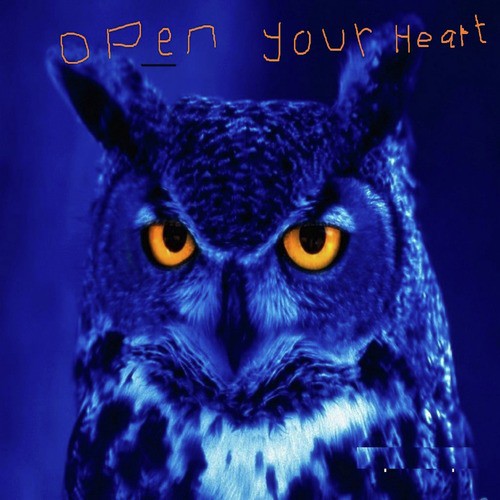 Open Your Heart_poster_image