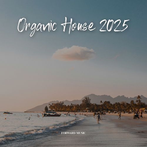 Organic House #04