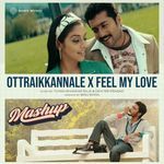 Ottraikkannale X Feel My Love (Remix)