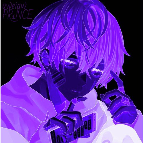 PR1NCE cover art