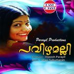 Choolam Kuthi artwork