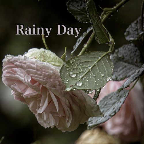 Hommage for Ryuichi Sakamoto cover art
